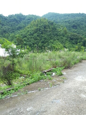  Plot – Garden View at Sahastradhara Road - for Sale