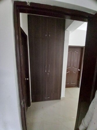 2 BHK Apartment For Rent in BBD Green City Faizabad Road Lucknow  7415492