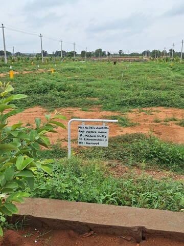 Plot Area in  Plot at Shadnagar – for Sale