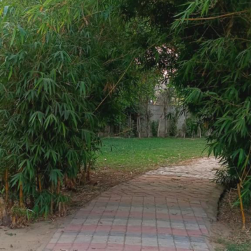 Plot Area in  Plot at Baghpat Road – for Sale