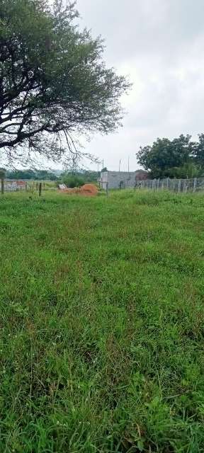 Plot For Resale in Happy Homes Shamirpet Shamirpet Hyderabad  7416114