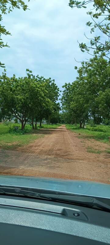Plot Area in  Plot at Nunna – for Sale