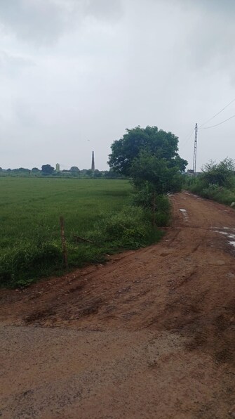 Commercial Industrial Plot 2 Acre For Resale in Fatehpur Faridabad  7416311