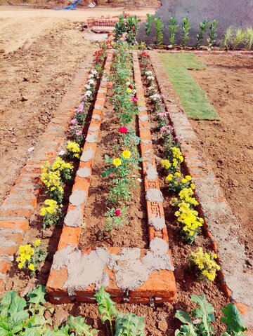  Plot – Exterior View View at Peddapur - for Sale