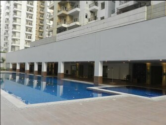 3 BHK Apartment For Rent in ABA Cleo County Sector 121 Noida  7416734