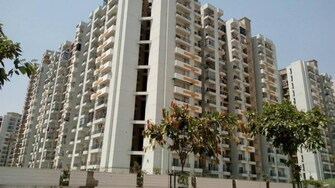 3 BHK Apartment For Rent in ABA Cleo County Sector 121 Noida  7416734