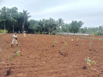 Plot Area in  Plot at Narsipatnam – for Sale