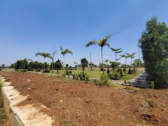 Plot For Resale in Mathpurena Raipur  7416861