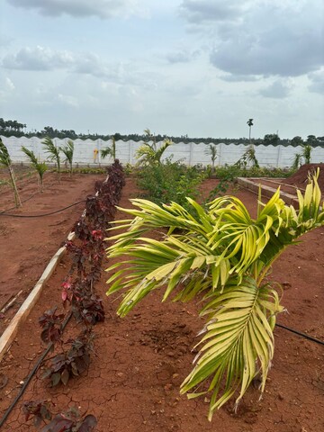  Plot – Exterior View View at Sri Bhumi Eeshaanya, Kankipadu - for Sale