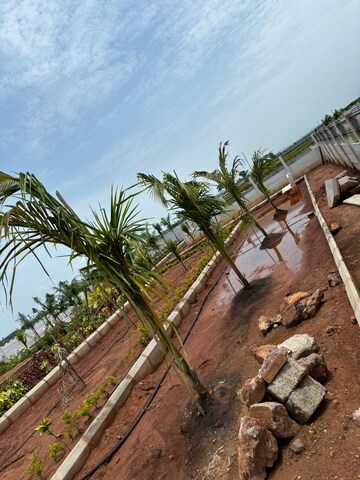  Plot – Exterior View View at Sri Bhumi Eeshaanya, Kankipadu - for Sale