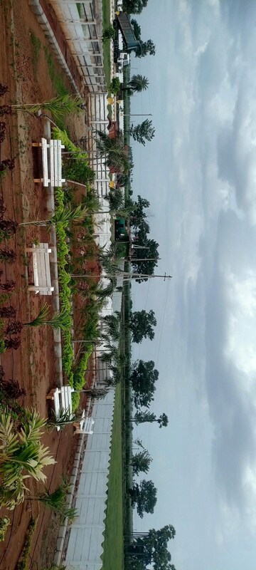  Plot For Sale in Sri Bhumi Eeshaanya, Kankipadu