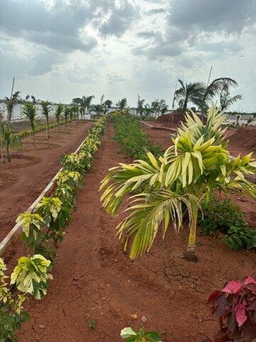  Plot – Garden View at Sri Bhumi Eeshaanya, Kankipadu - for Sale