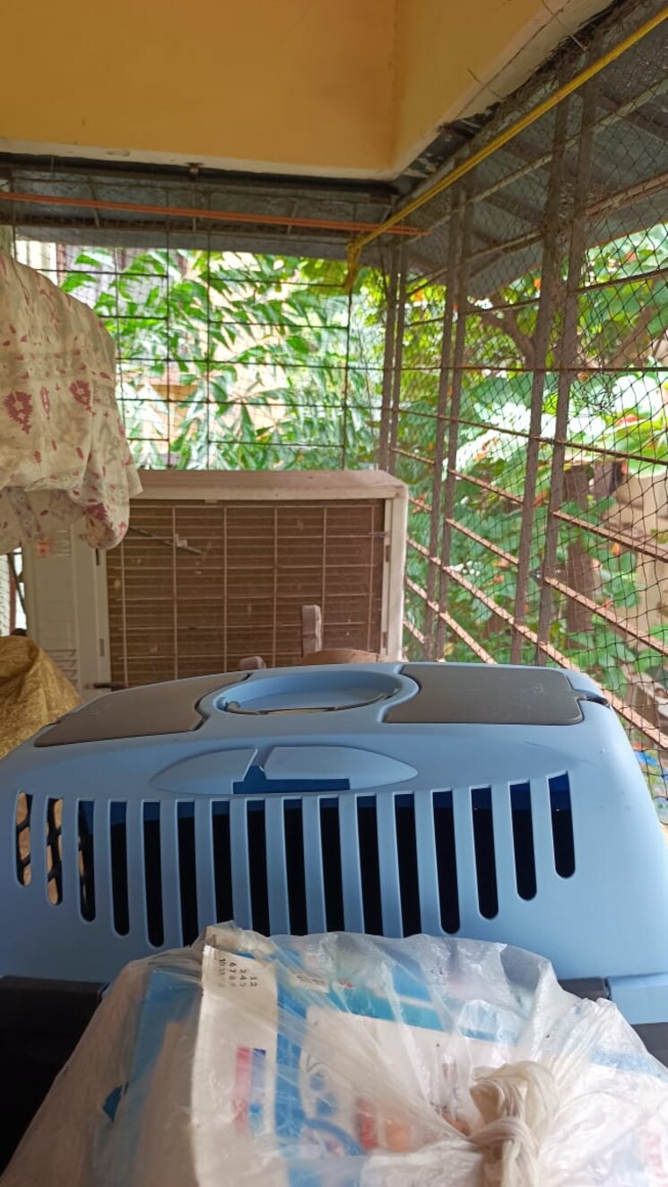 Balcony, cecilia-apartment 1 Bedroom 480 Sq.Ft. Apartment In Bandra West Mumbai 7417535