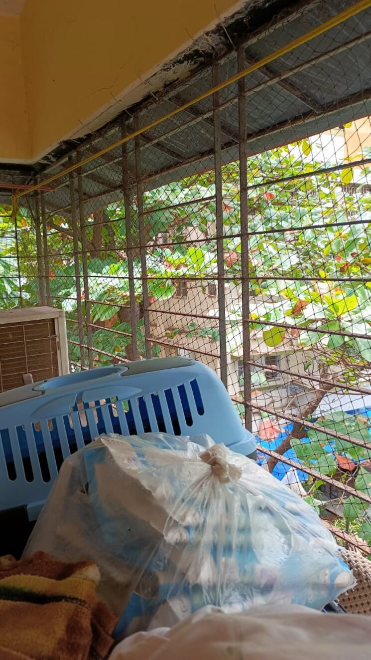 Balcony, cecilia-apartment 1 Bedroom 480 Sq.Ft. Apartment In Bandra West Mumbai 7417535