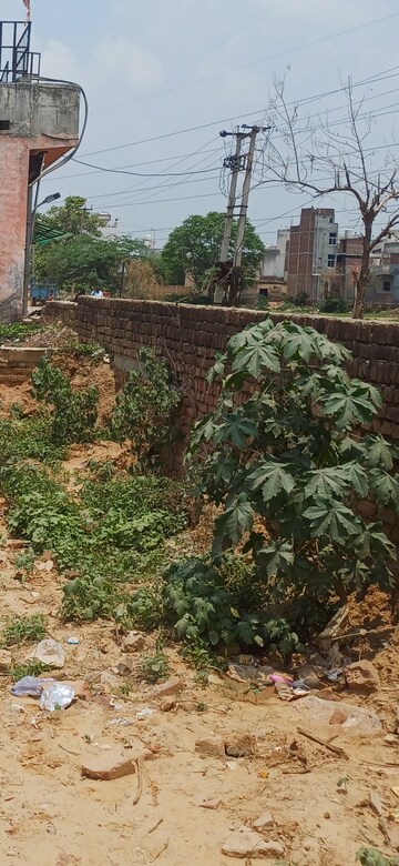 Plot Area in  Plot at Tilpat – for Sale