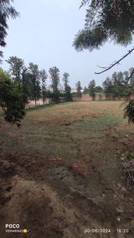 Plot For Resale in Sultanpur Delhi  7417819