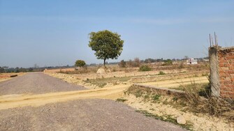 Plot For Resale in Rahim Nagar Lucknow  7372172