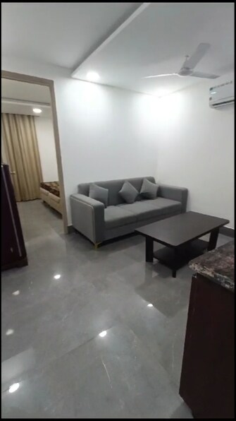 1 BHK Independent House For Rent in Dlf City Phase 3 Gurgaon  7418745