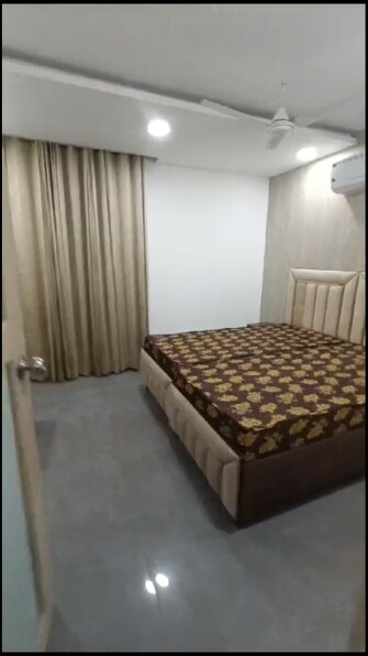 1 BHK Independent House For Rent in Dlf City Phase 3 Gurgaon  7418745