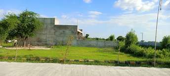 Plot For Resale in Vaidpura Greater Noida  7418896