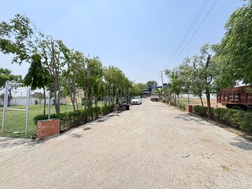 Plot Area in  Plot at Chhata – for Sale