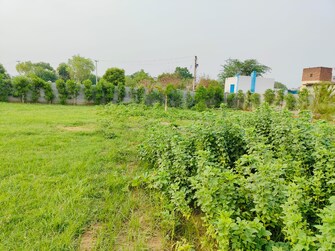 Plot For Resale in BPTP Parkland Sector 75 Faridabad  7419313