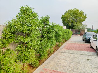 Plot For Resale in BPTP Parkland Sector 75 Faridabad  7419313