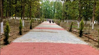 Plot For Resale in Ganga Nagar Dehradun  7419508