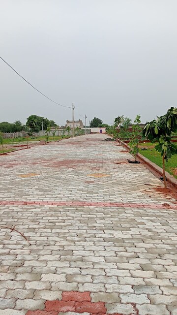 Plot For Resale in Sipri Bazar Jhansi  7419961