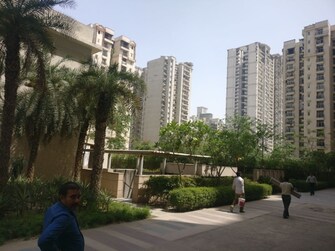 3.5 BHK Penthouse For Rent in Amrapali Princely Estate Sector 76 Noida  7420282