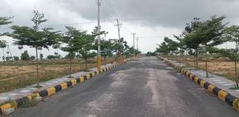 Plot For Resale in Ramakrishnapuram Hyderabad  7420336