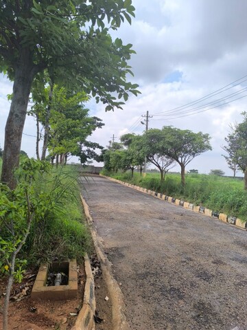 Plot Area in  Plot at Sampangi Rama Nagar – for Sale