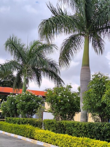  Plot – Garden View at Sampangi Rama Nagar - for Sale