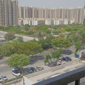 3 BHK Apartment For Resale in La Residentia Amrapali Dream Valley Greater Noida  7421531