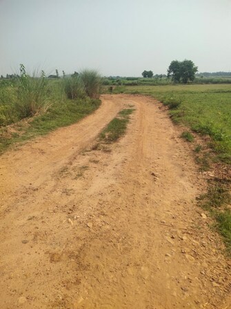 Plot For Resale in Gudiapokhari Bhubaneswar  7421808