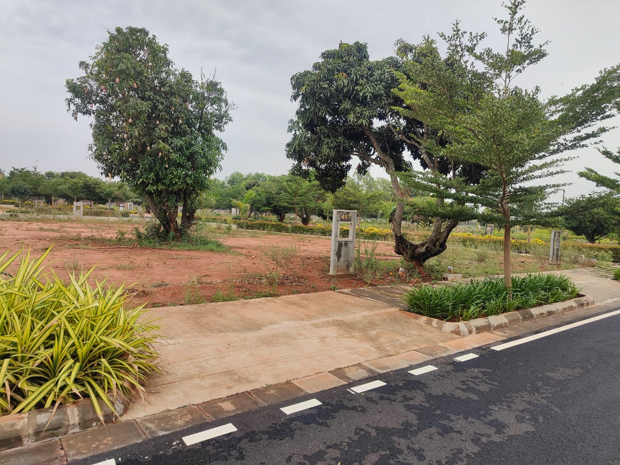 Plot For Resale in Prestige Park Drive Devanahalli Bangalore  7422057