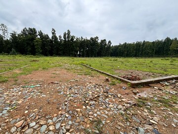  Plot For Sale in Dhaulas 