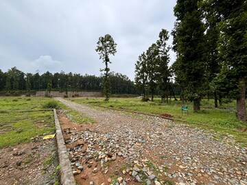 Plot Area in  Plot at Dhaulas  – for Sale
