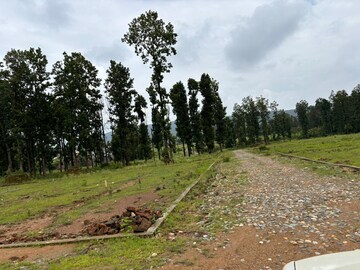 Plot Area in  Plot at Dhaulas  – for Sale
