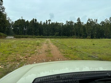 Plot Area in  Plot at Dhaulas  – for Sale