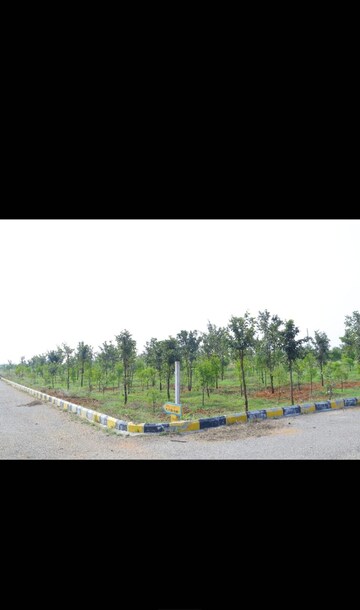  Plot – Exterior View View at Peddapur - for Sale