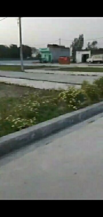  Plot – Exterior View View at Omaxe Galaxy, Sector 112 - for Sale