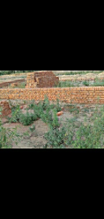  Plot – Exterior View View at Omaxe Galaxy, Sector 112 - for Sale