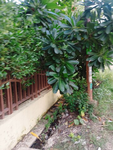  Plot – Exterior View View at Avantika Colony - for Sale