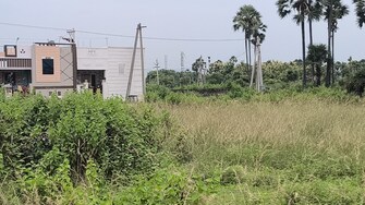 Plot For Resale in Dasapalla Hills Vizag  7424689