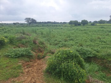  Land For Sale in Sandila