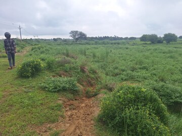 Plot Area in  Land at Sandila – for Sale