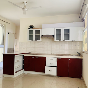 2 BHK Apartment For Rent in Tulip Violet Sector 69 Gurgaon  7425275