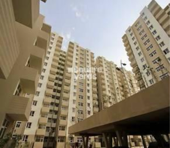 2 BHK Apartment For Rent in Tulip Lemon Sector 70 Gurgaon  7425302