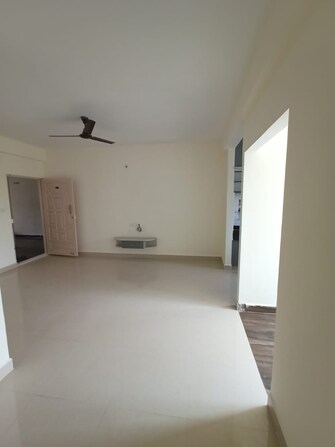 1 BHK Apartment For Rent in Pearlite Lakeside Haralur Road Bangalore  7425609